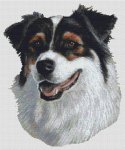 (image for) Australian Shepherd - Tri-color II